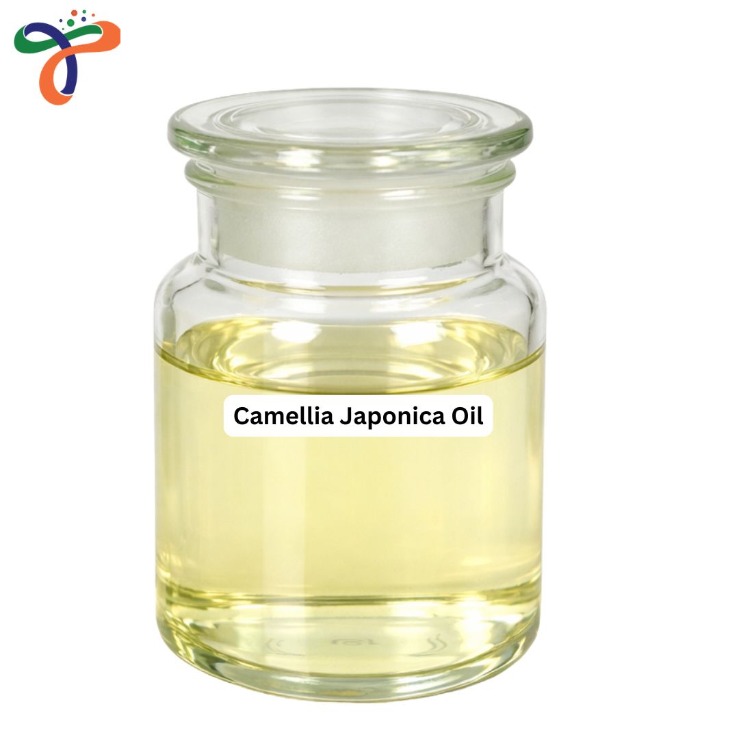 Camellia Japonica Oil
